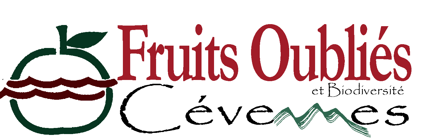 Logo Fruits Oubliés et Biodiversité en Cévennes
